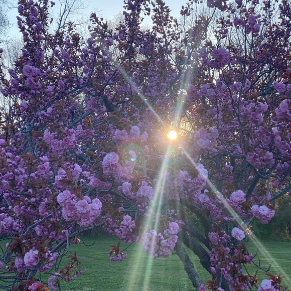 Meet your Posher, AMI - Picture 3 of 15